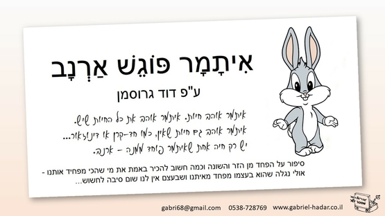 תמונת מופע: איתמר פוגש ארנב - תיאטרון סיפור לגילאי 2-4